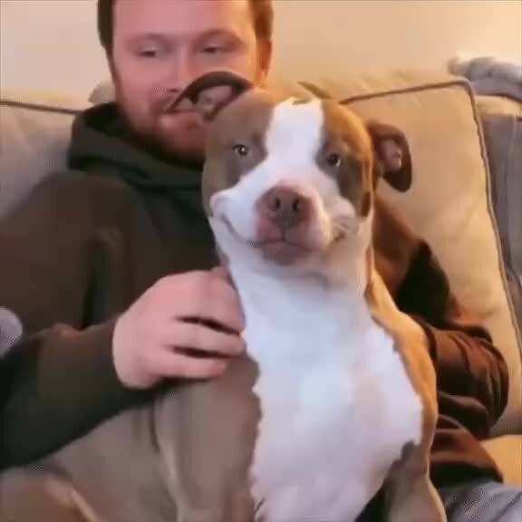 иллюстрация и смех и грех. смех не грех. ничто так не сближает людей. и смех и грех анекдот. смех в играх.