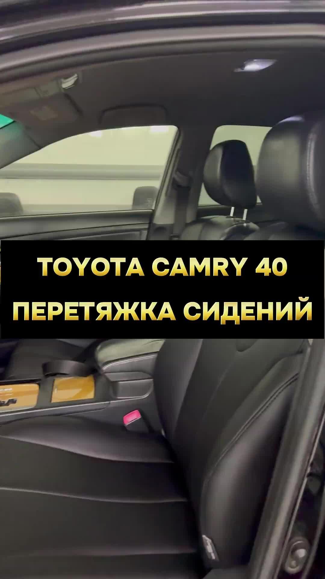 Удав пробрался под сиденье автомобиля и застрял там: видео - CityTraffic