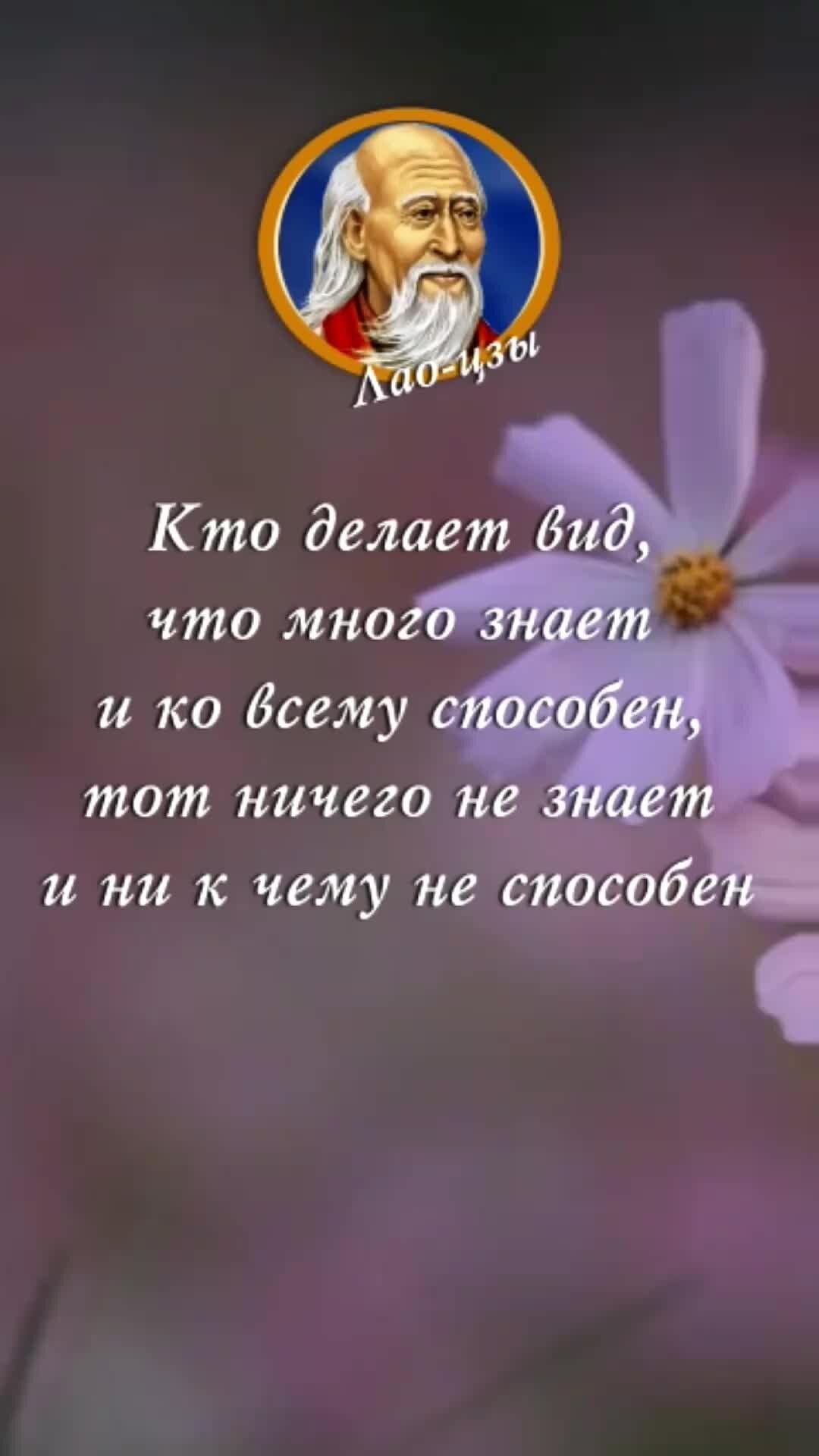 закона послушный гражданин. мудрые цитаты. человек смысл человек мудрость. философские высказывания. человек смысл человек мудрость.