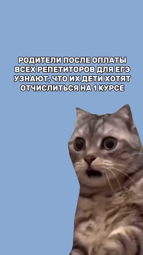 обязательна ли консультация перед экзаменом. обязательна ли консультация перед экзаменом. обязательна ли консультация перед экзаменом. рекомендации психолога при подготовке к егэ. консультация перед экзаменом.