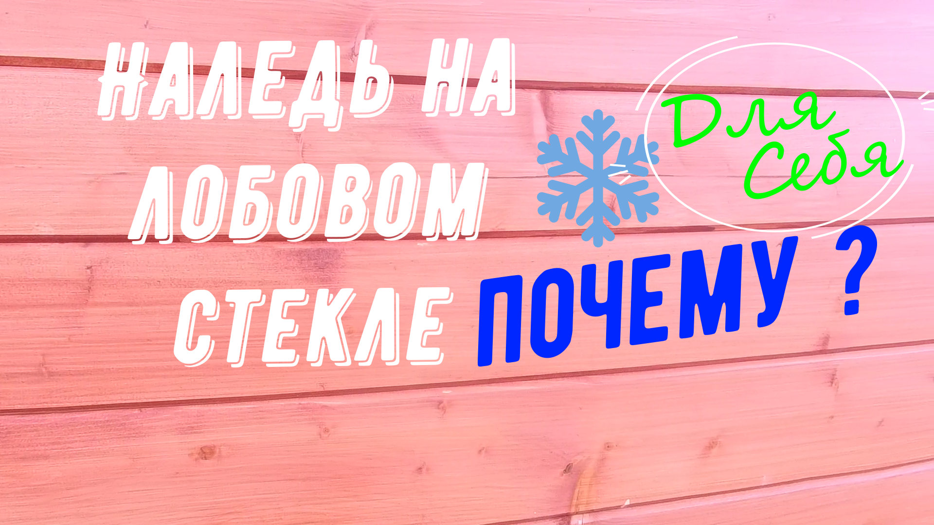 цитаты про справедливость жизни. потому что не нужно ходить. о характере человека можно судить по тому как он ведет себя с теми. анекдот про сопли. почему я люблю ходить в школу.