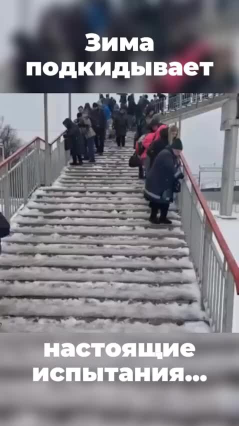 РИАМО | Отечественный "Форт Боярд"... | Дзен