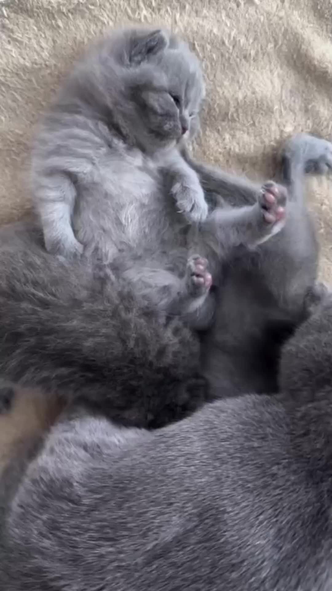 мама мамочка голубые облака. тест веснушки для мамы. сердце из облаков. мама мамочка голубые облака. бирюзовой платье облако.