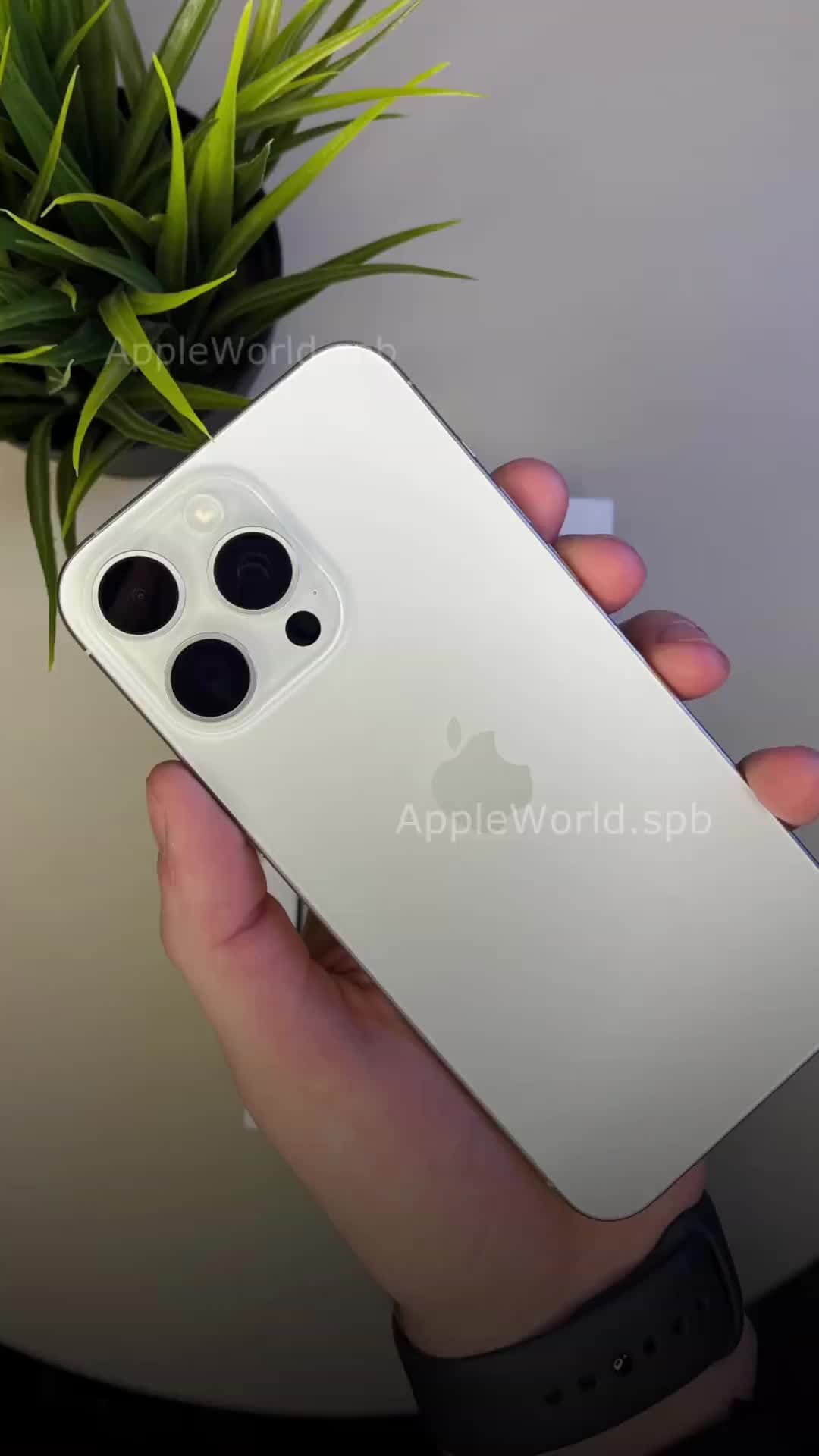 appleworld.spb | ASMR распаковка iPhone 15 Pro Max в цвете White Titanium🤍  | Дзен