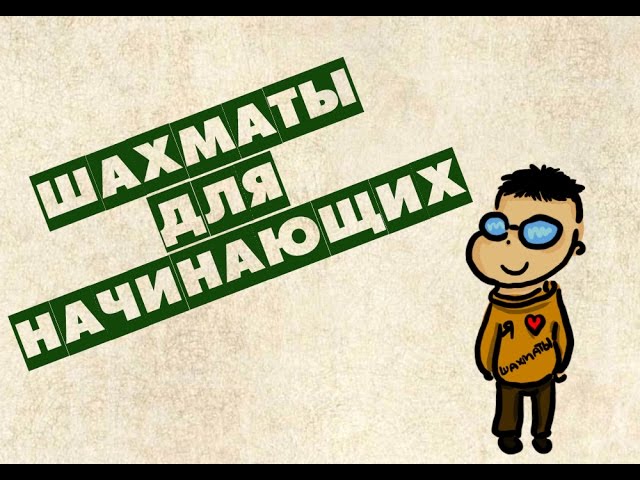 Гамбит шахматы. Ошибки новичков в шахматах книга. 21 критическая ошибка в шахматах книга. Шведский гамбит шахматы. 21 ошибка новичка в шахматах.