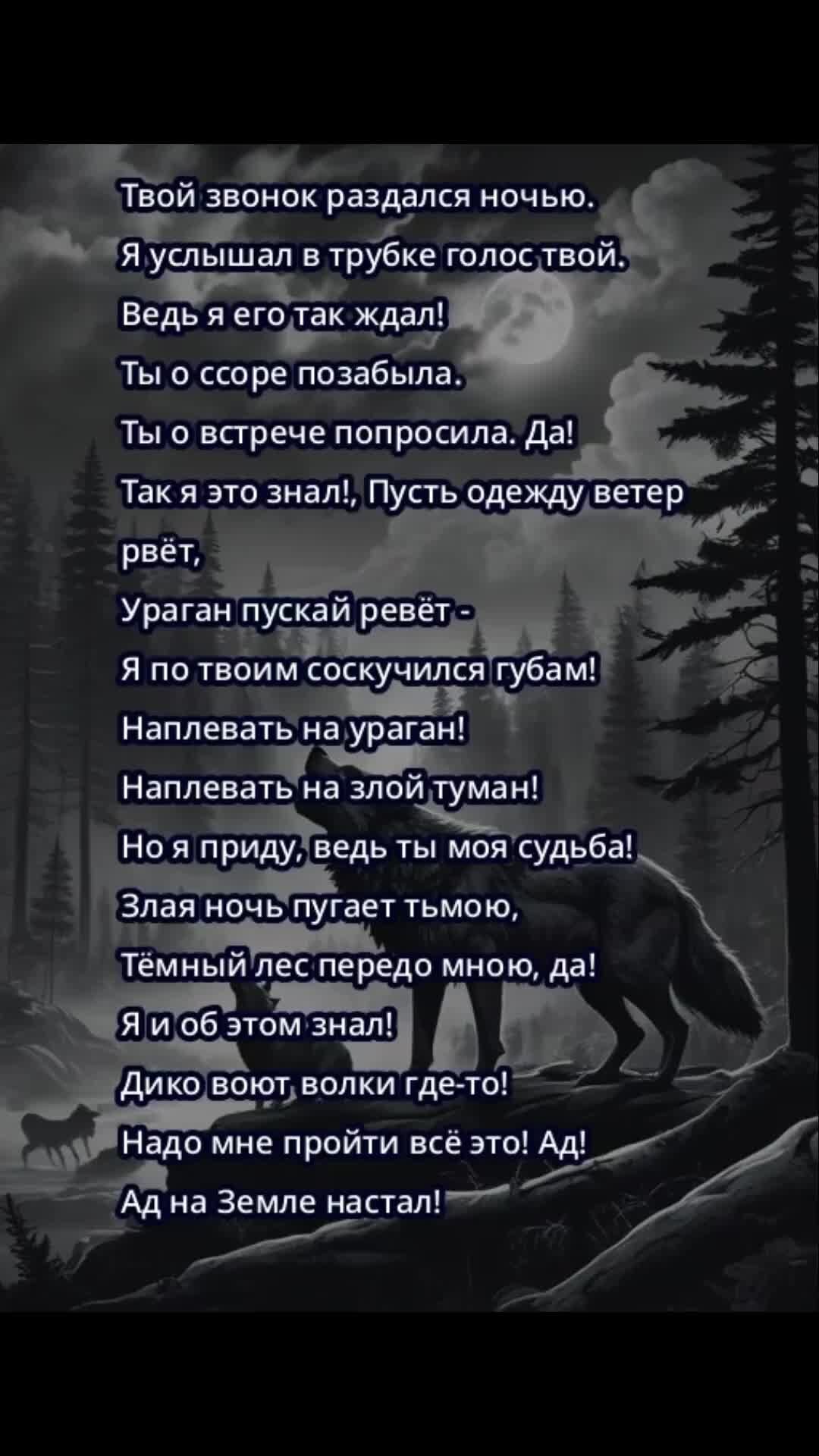 Тексты песен