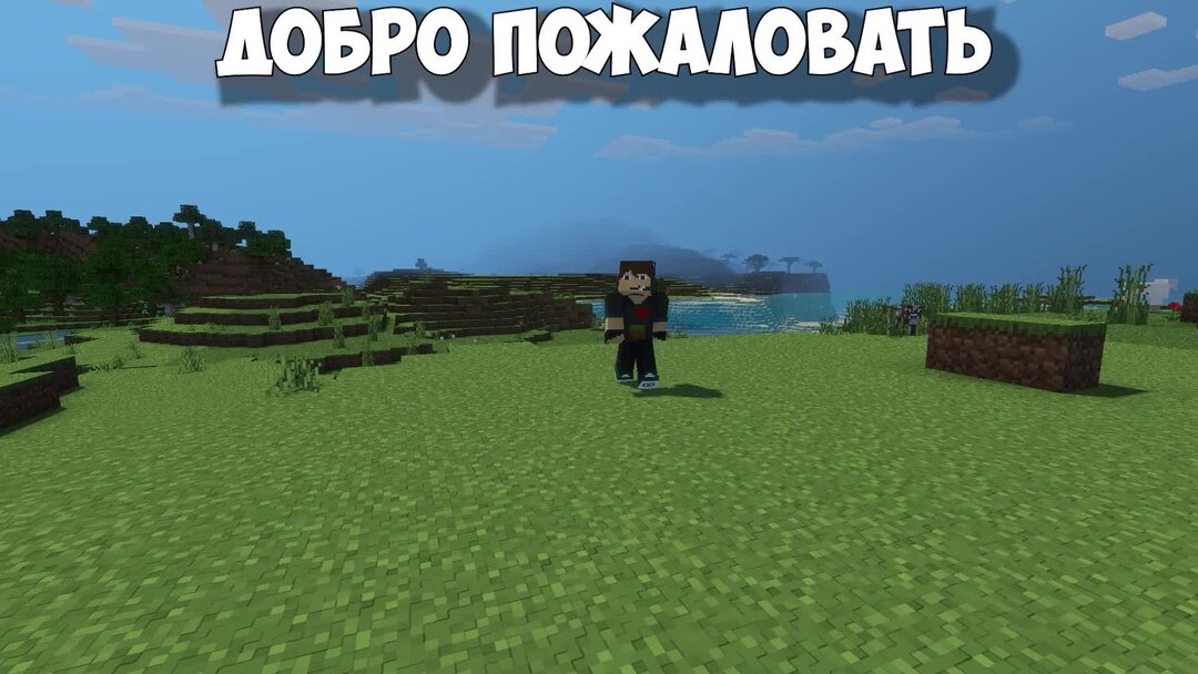 Minecraft много модов