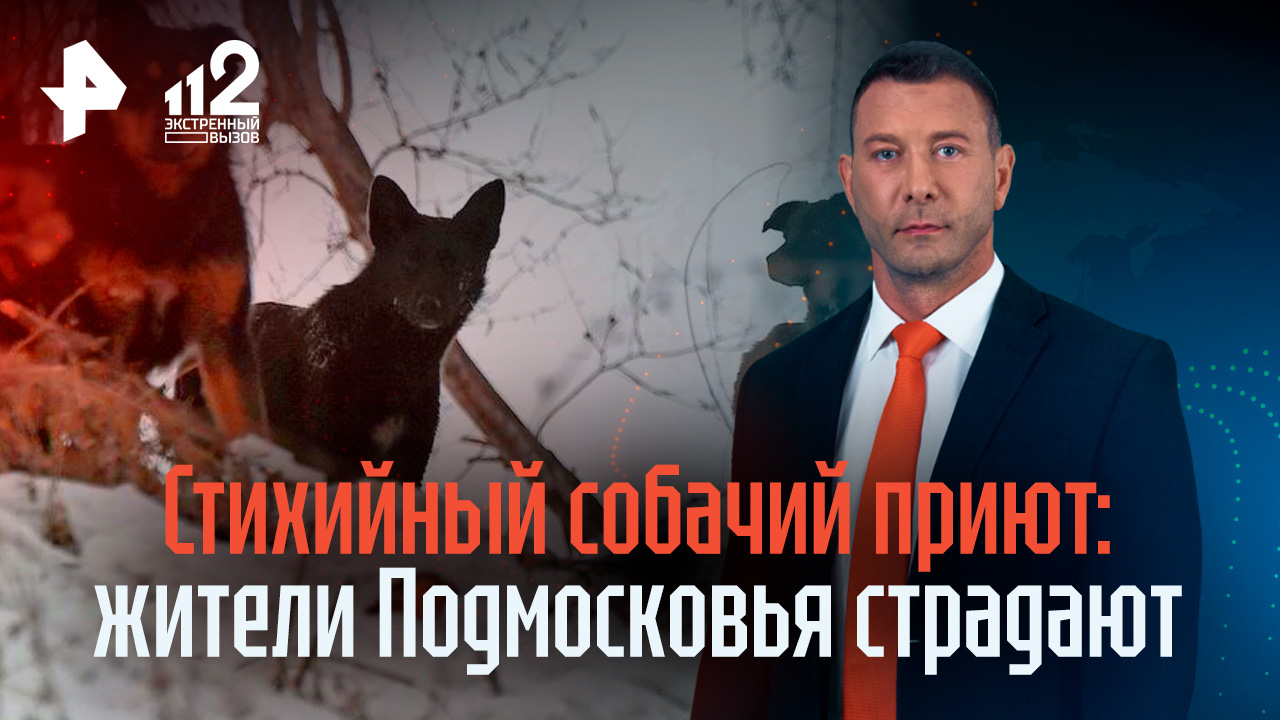 Запах земли после дождя название. Человек нюхает. Запах земли дома. Химическое загрязнение почвы. Запах после дождя как.