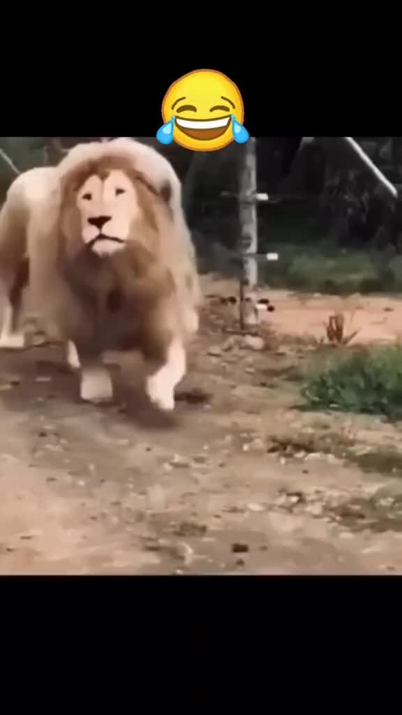 песня улыбнись мр3