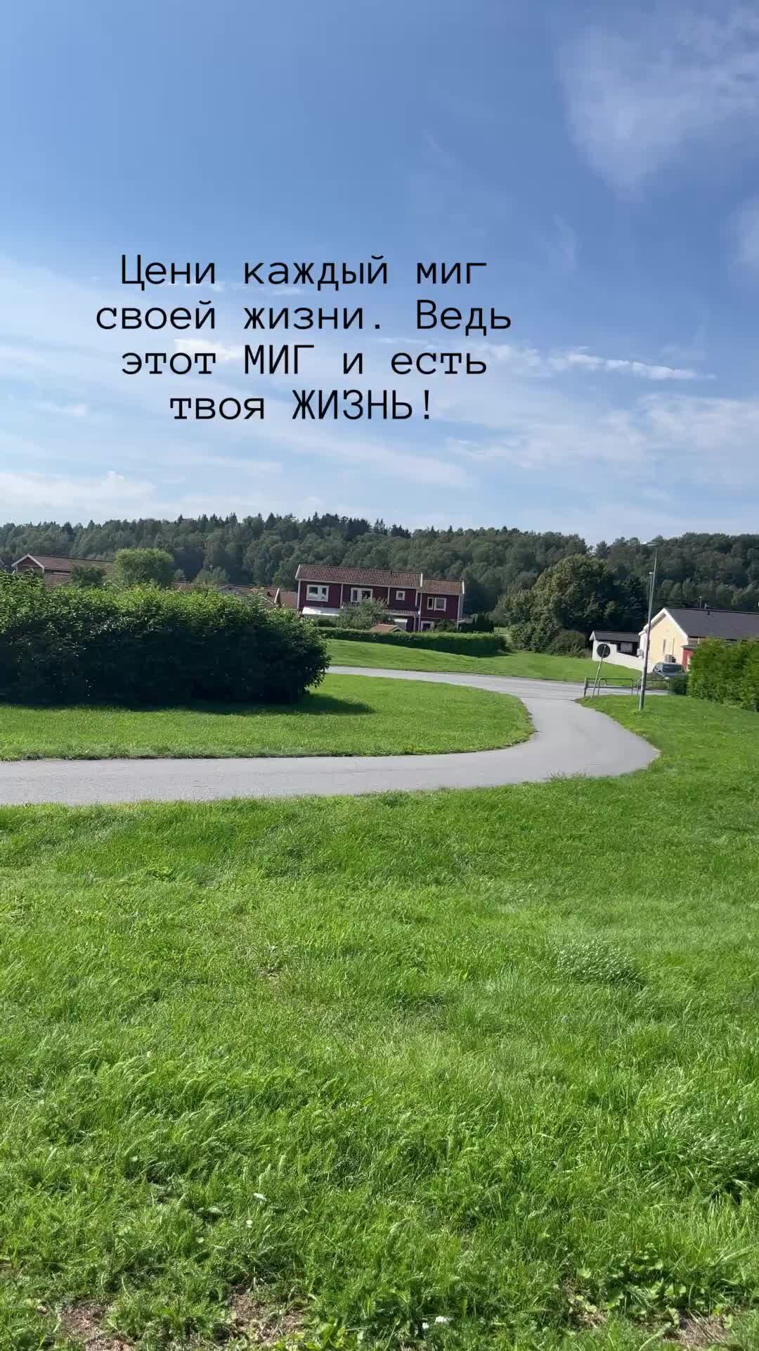 Шведский стол | Пригород Стокгольма#жизньвшвеции #лето в Швеции | Дзен