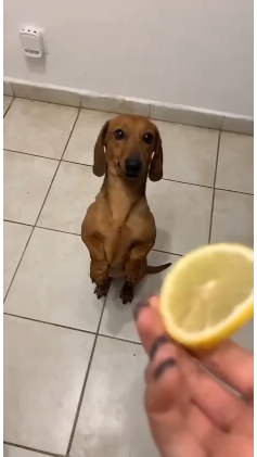 Металлический вкус во рту причины. Почувствовал вкус железа. Почувствовал вкус железа. Металлический привкус во рту причины. Солёный привкус во рту причины у женщин.