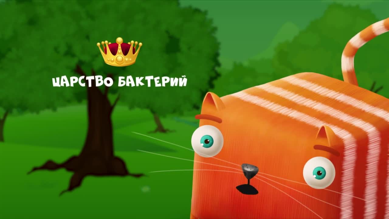 Кубокот малыш. Мультик кот кубокот лес. Включи кубокот без забот. Кубо кот. Развлечеба кот кубокот.