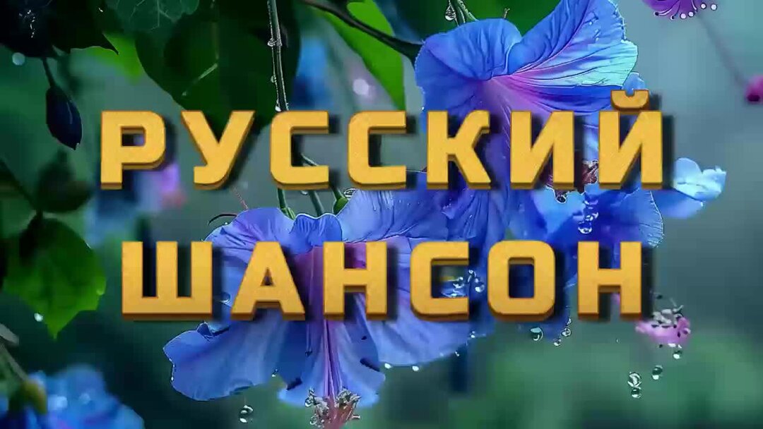 Рутуб шансон 2025. Рутуб шансон 2025