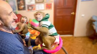 пресс секретарь парка тайган татьяна алексагина. обезьяна люся парк тайган. парк львов тайган гамадрил люся. татьяна алексагина тайган парк львов ютуб. тайган про люську.