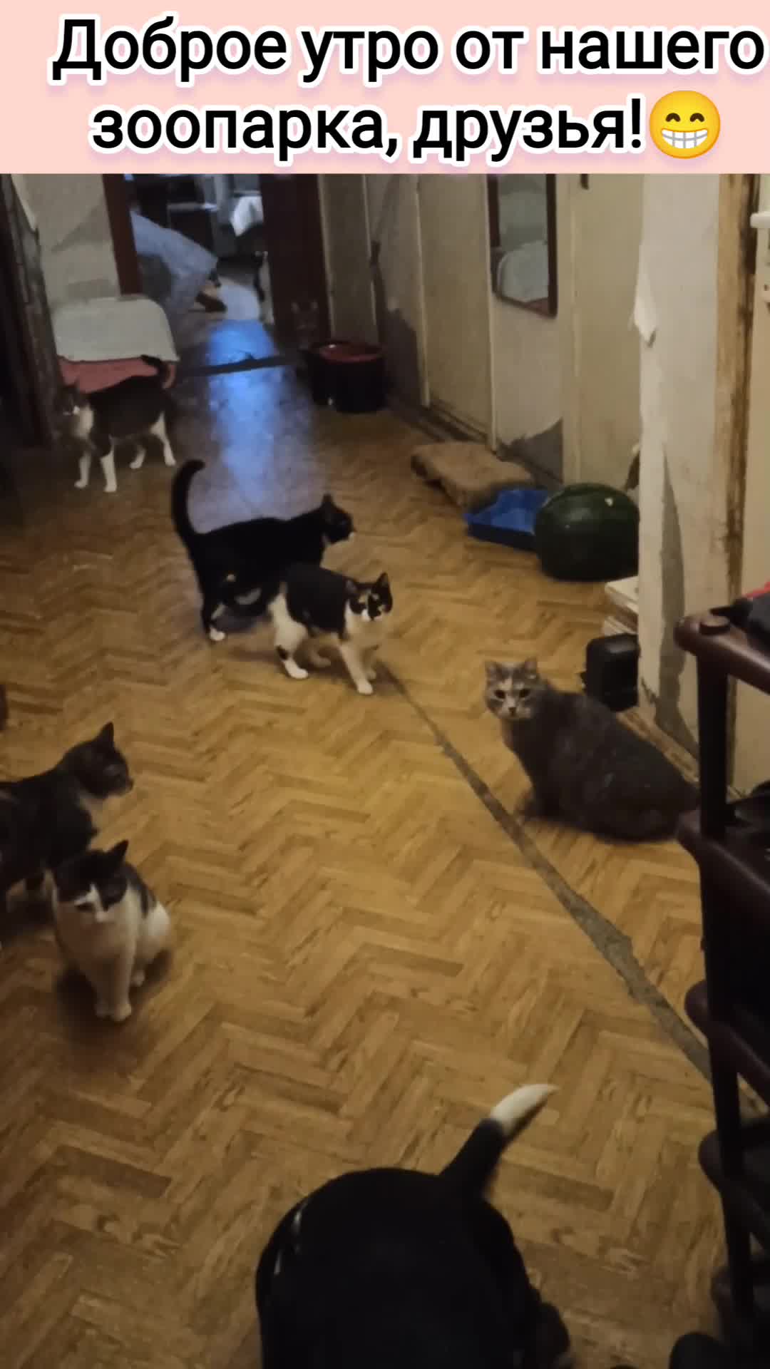 Мачеха пришла ночью к сыну. Stepmom с русскими субтитрами. Family strokes анастасия найт. Родная мать. Мотель бейтса на кровати.