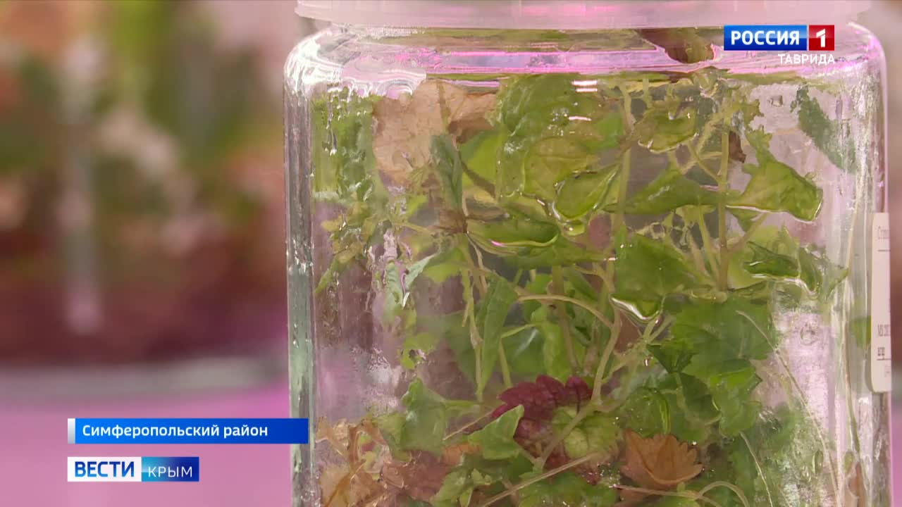 федя логинов. помощь феде. помощь феде. александра фёдорова дцп. помощь феде.