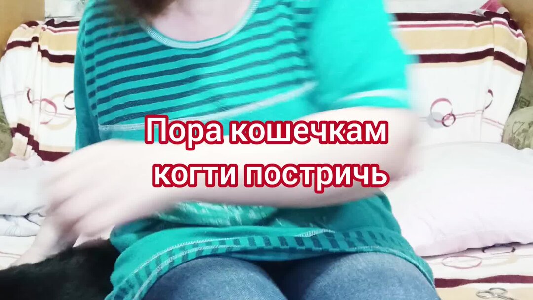 приметы про волосы. свободное окно на мужскую стрижку. пора подстричься. пора подстричься. филировка барбершоп.