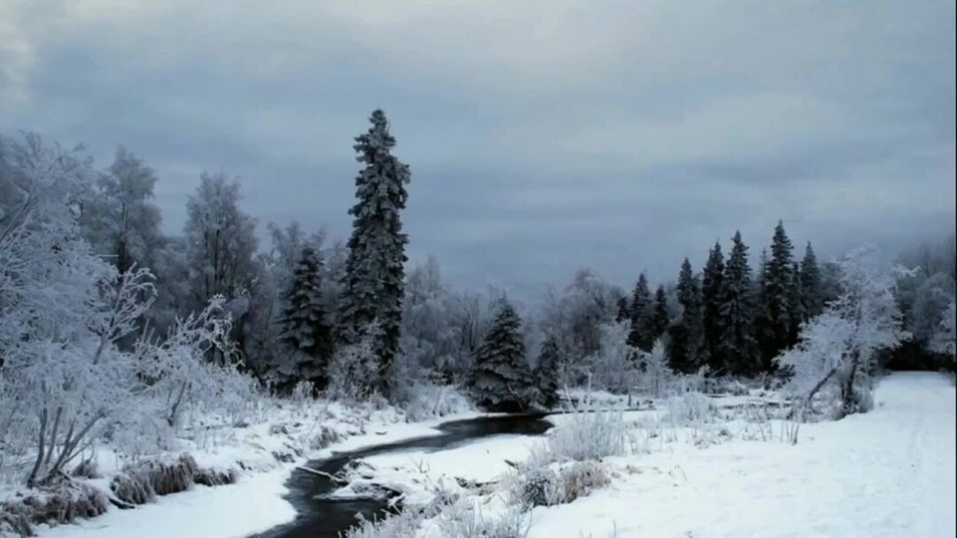 Плотность посадки рыбы в пруду. Плотность посадки аквариумных рыб. Архимедова сила и рыбы. Плотность рыбы. Плотность рыбы.