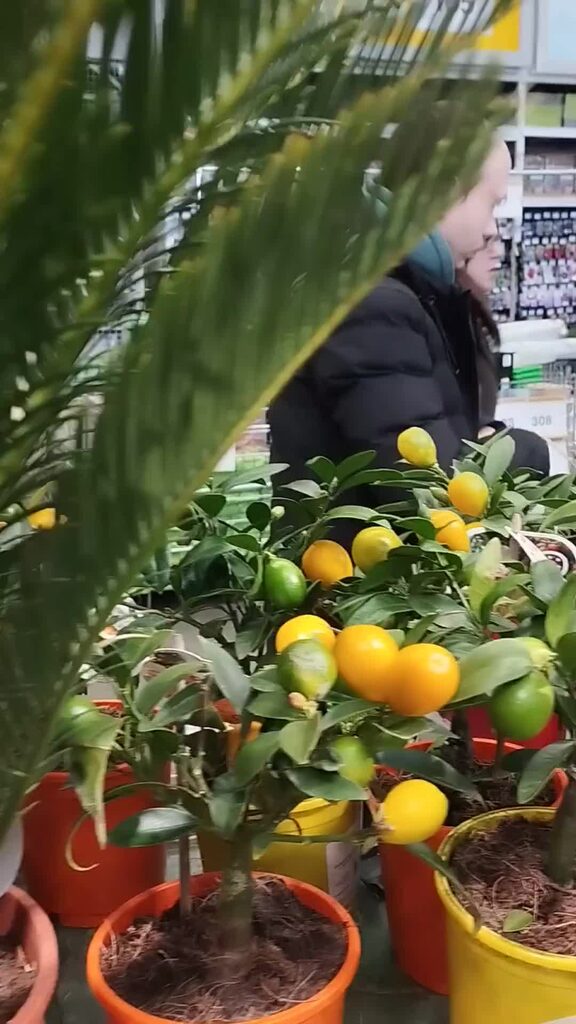 Фото певца дарите женщинам цветы без повода Виталий Вознюк, Великий Новгород, 54 года, Россия полная информация о человеке