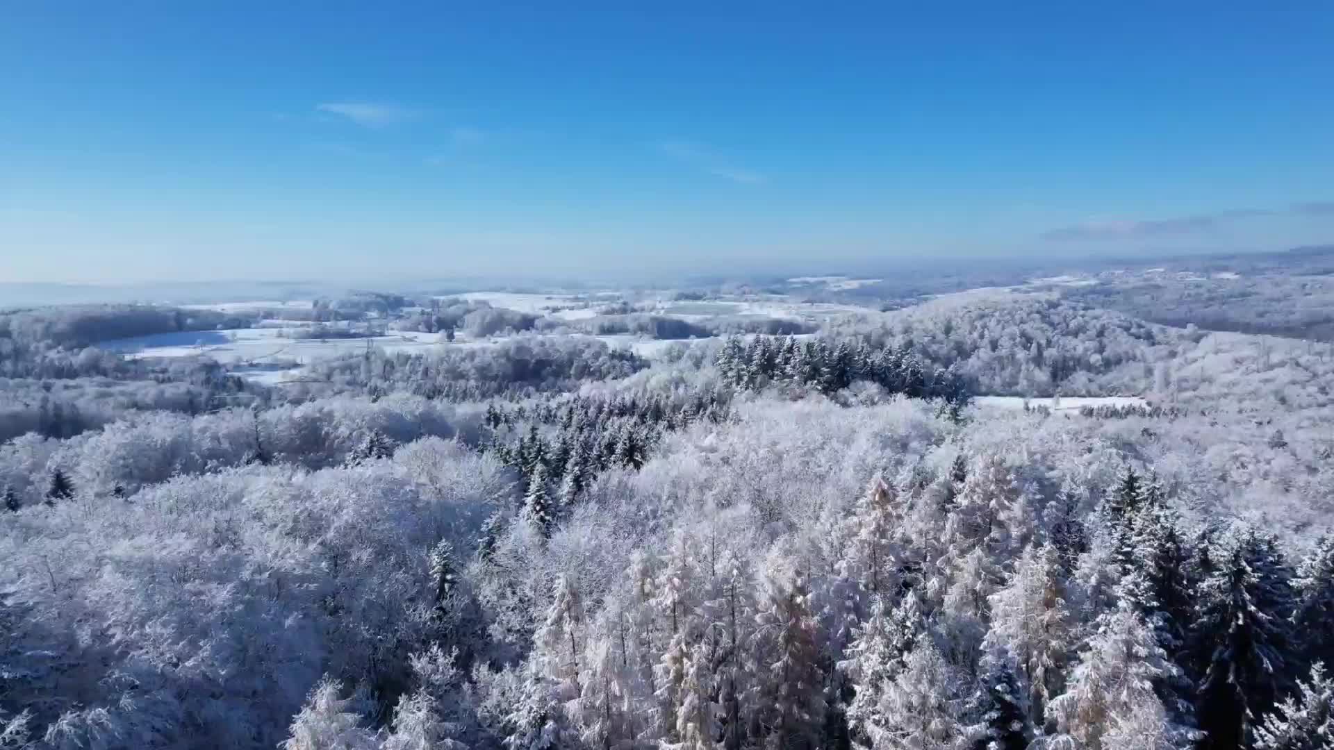 Цифра 3 слово зайчика