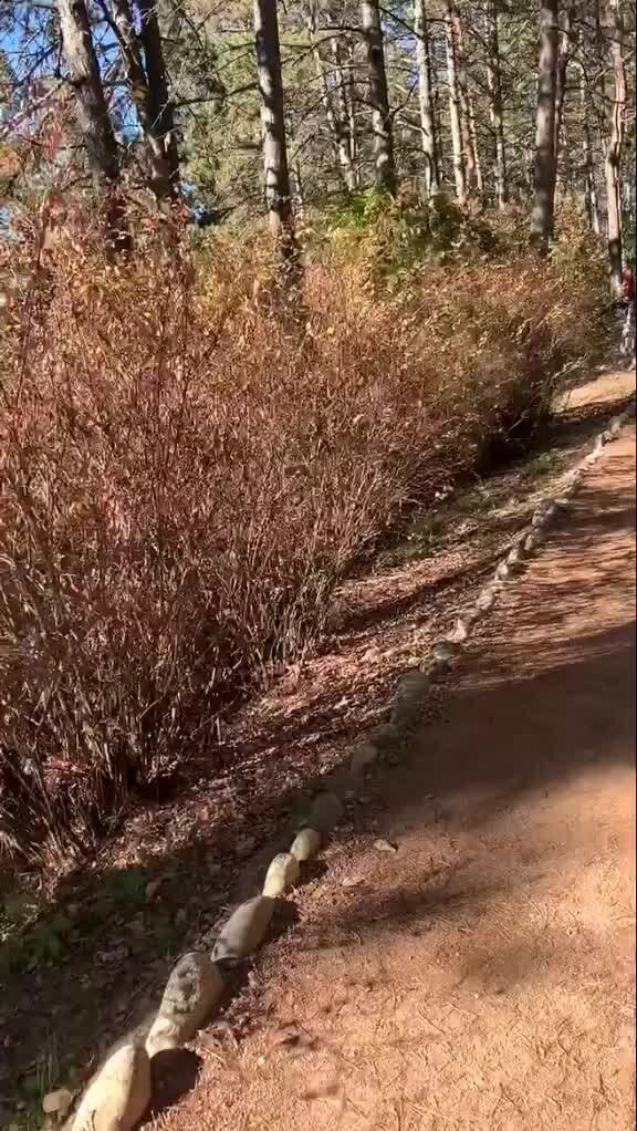 Ирина Савельева - Апартаменты в Кисловодске | Лечебные звуки ...