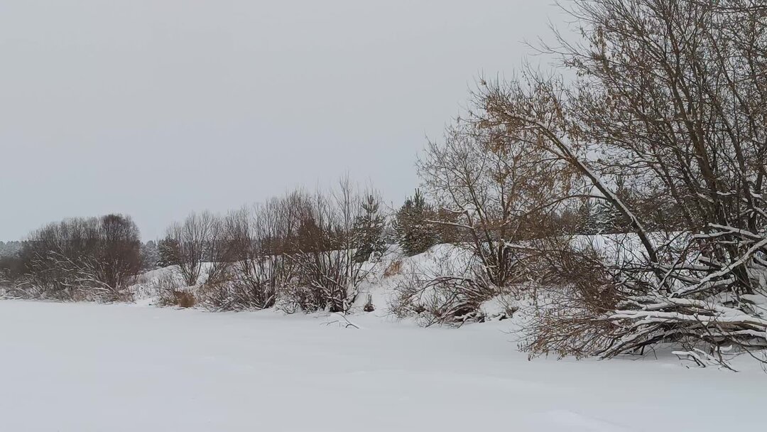 Видео бела бела