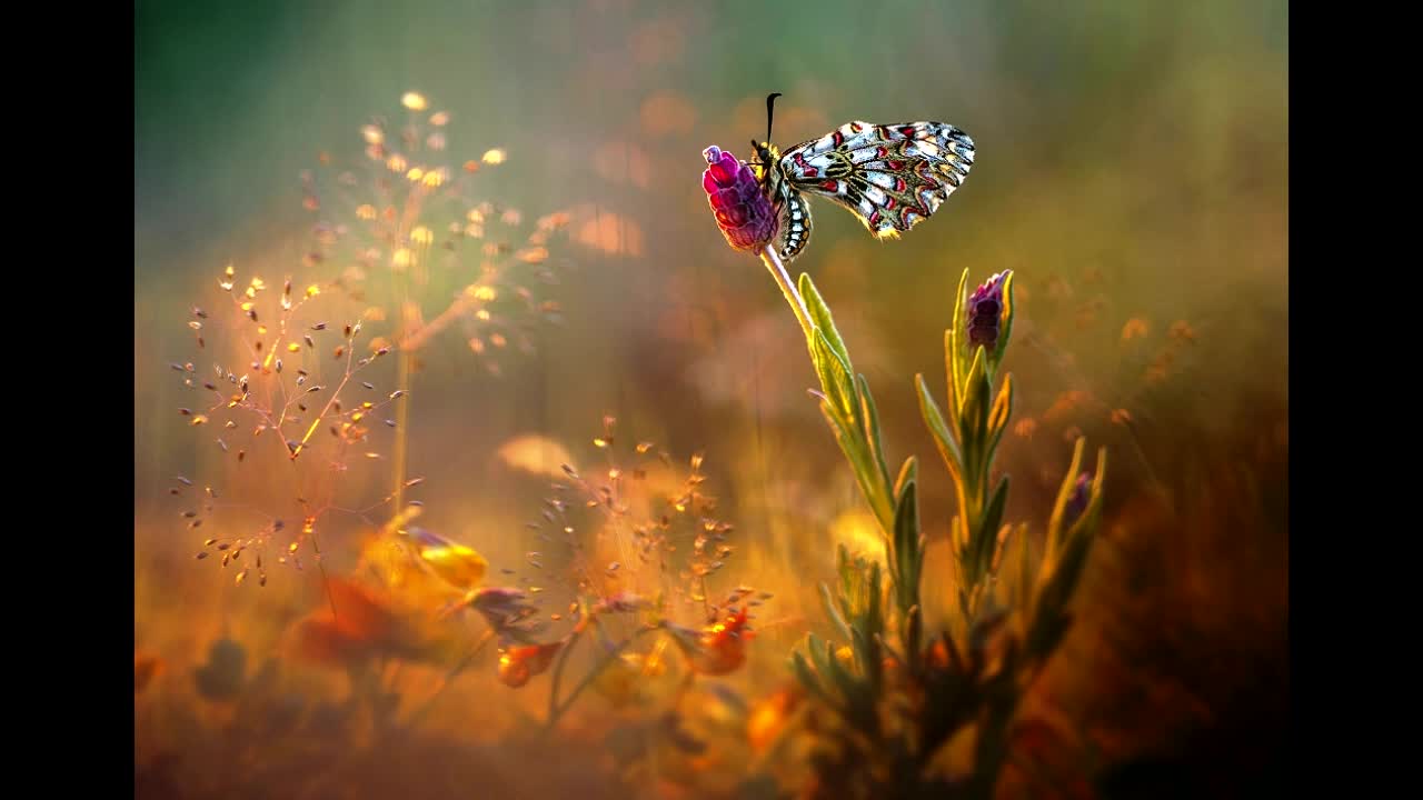 Псалом 66 на русском. Псалом 66 читать. Псалом 66. 66 псалом текст. Псалом 66.