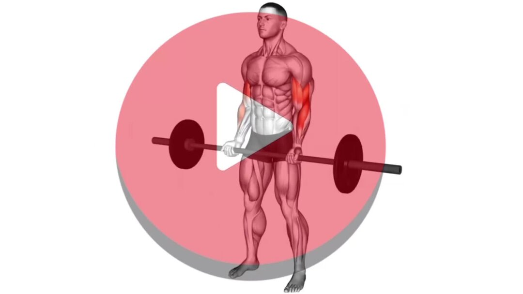 Какой вес поднимают на бицепс. Поднятие веса на бицепс. Какой вес поднимают на бицепс. Подъем на бицепс обратным хватом. Подъем штанги на брахиалис.