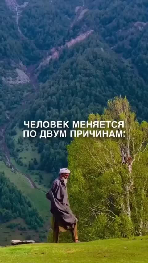 видеоигры цитаты. популярные игровые мемы. видеоигры цитаты. лара крофт цитата. рдр 2 мемы.