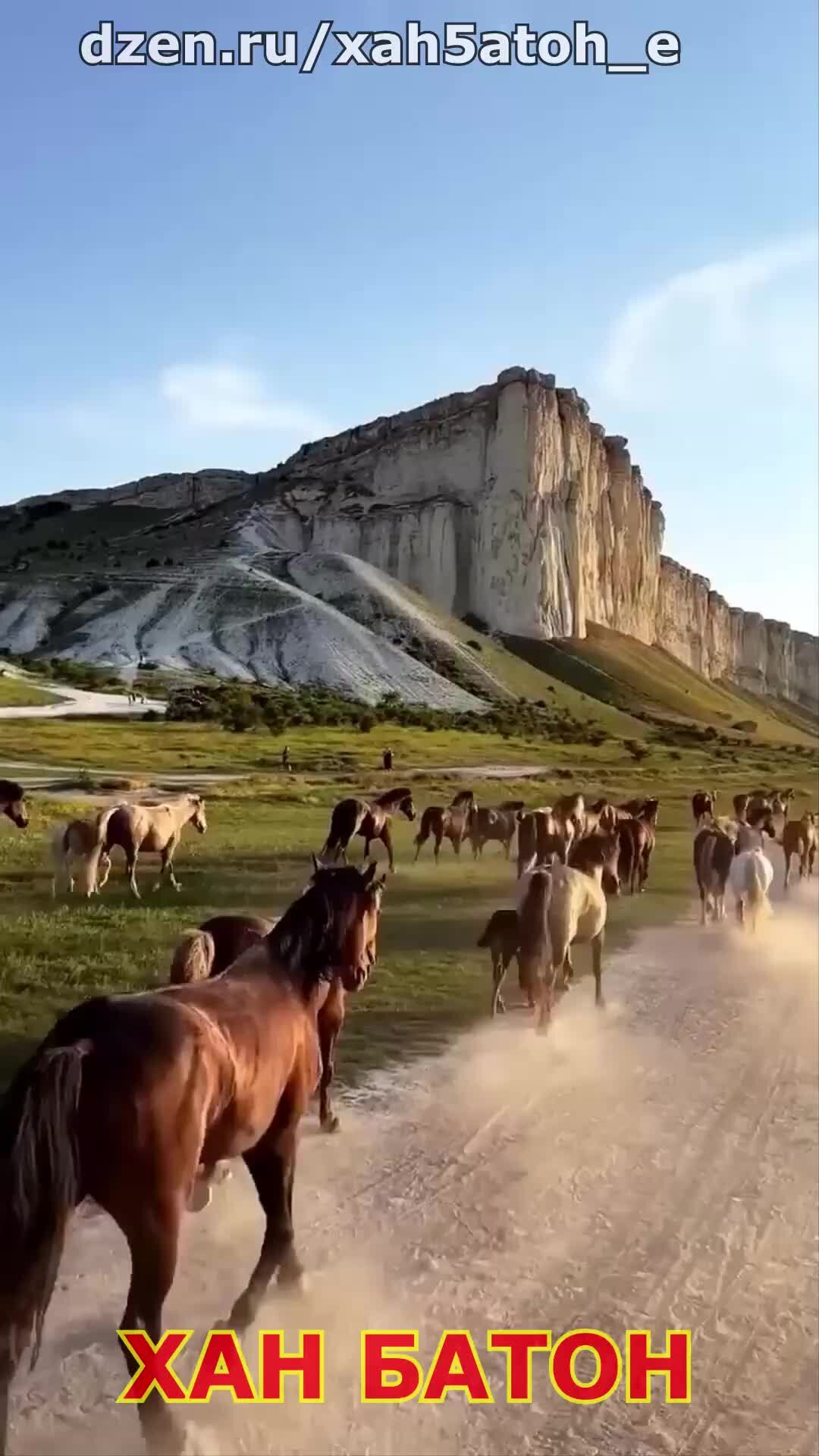 Перегон лошадей белая скала. Белая скала в Крыму лошади загон. Белая скала Крым перегон лошадей. Перегон лошадей в Крыму. Ковбой белая скала.