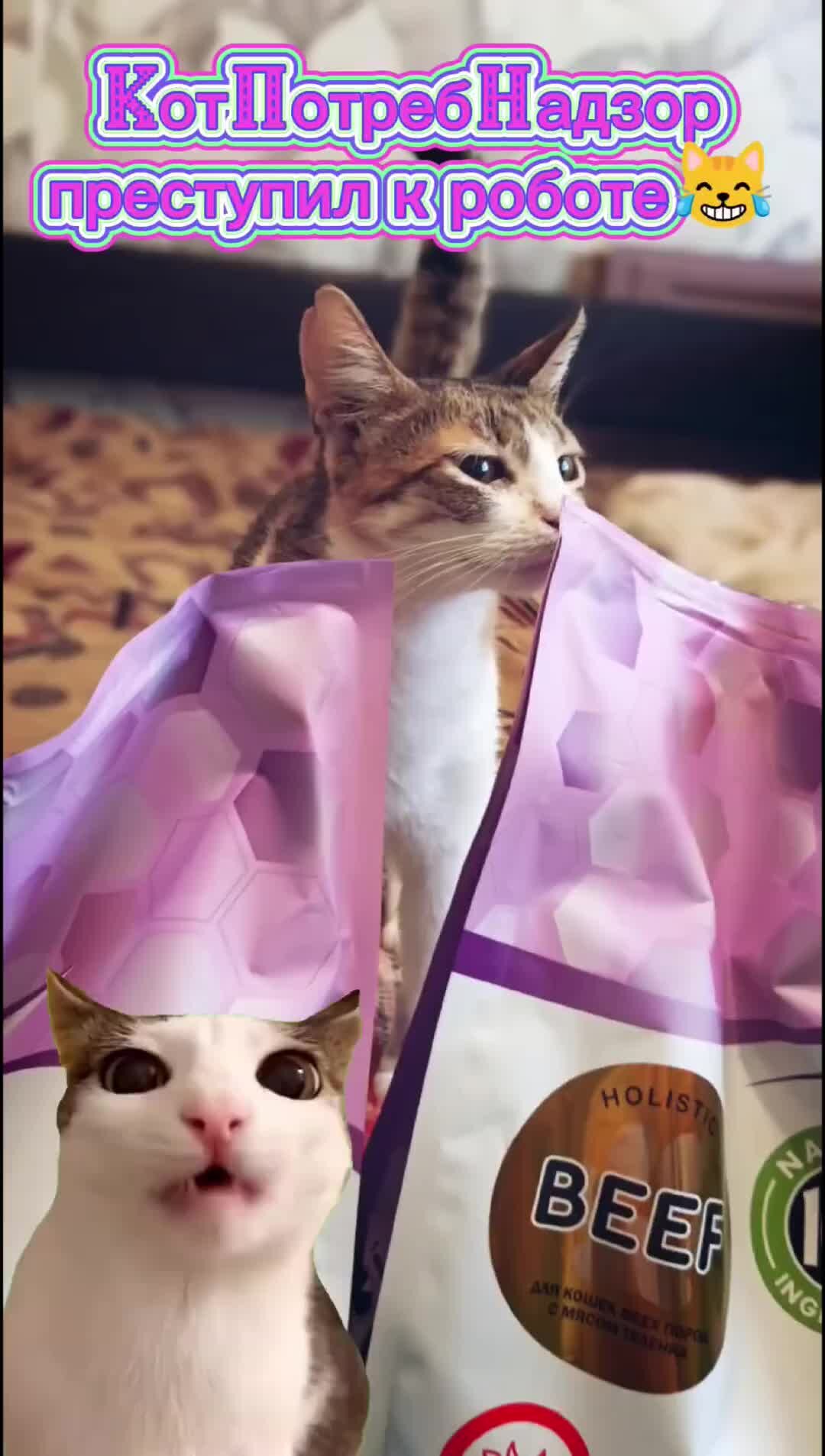 Каждый должен выполнять свою работу. Человек на любимой работе. Цитаты. Каждый должен выполнять свою работу. Каждый должен выполнять свою работу.