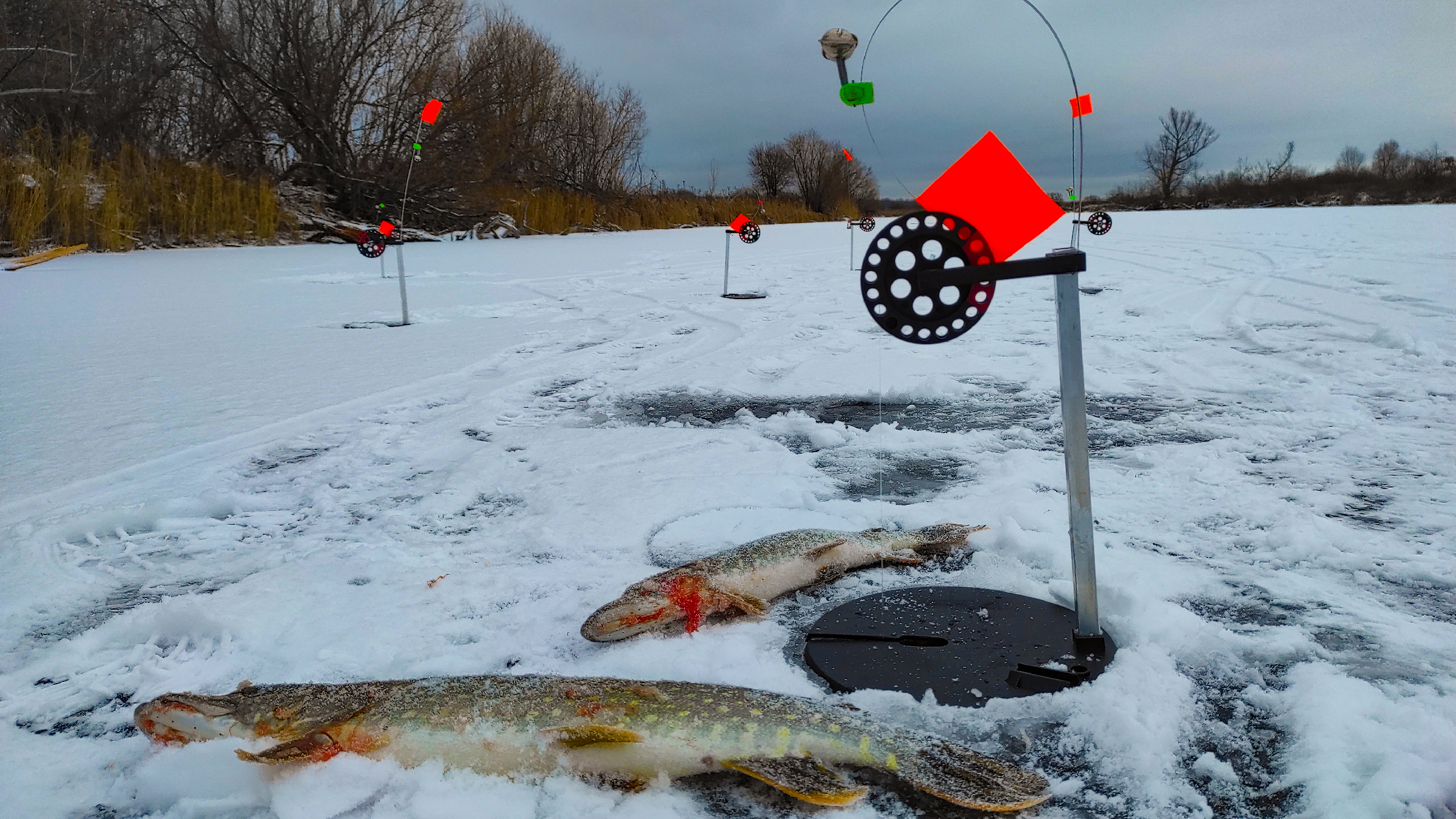 рыбалка первый лёд 2022 зимняя рыбалка. рыбалка со льда 2023 2024. рыбалка со льда 2023 2024. зимняя рыбалка на судака. мормышка мохнатка.