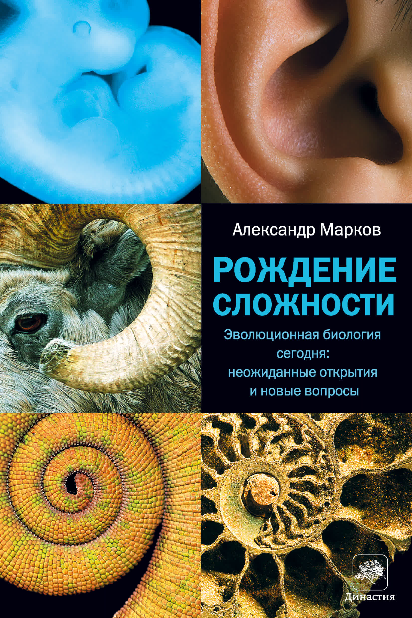 Нова эволюция. Нова эволюция