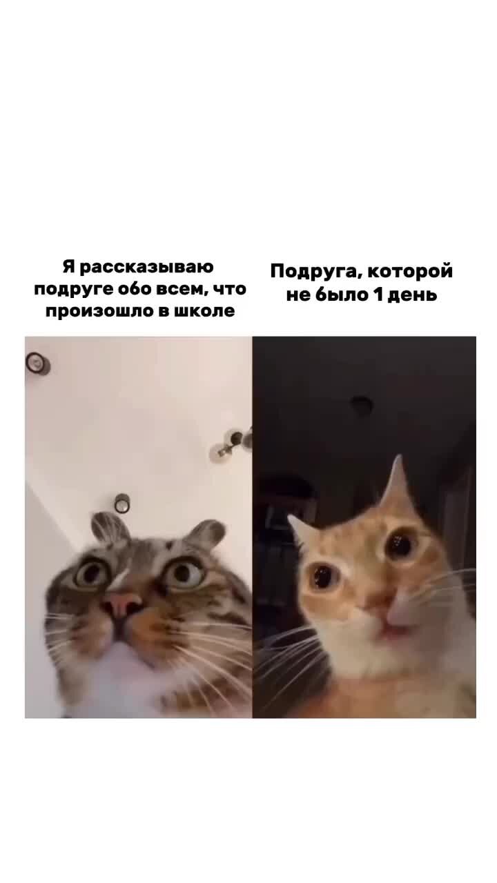 Боты егэ