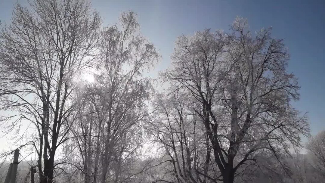 изложение 10. сжатое изложение по мнению психологов. изложение 5 класс. изложение 9 класс по русскому. изложение три берёзки.