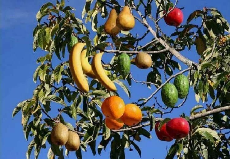 Hid\vid_046d&pid_c092&rev_5200&mi_00. 0x000400f0. 00000000 c0000005. 0x000000f4. Ошибка 0x0000000a.