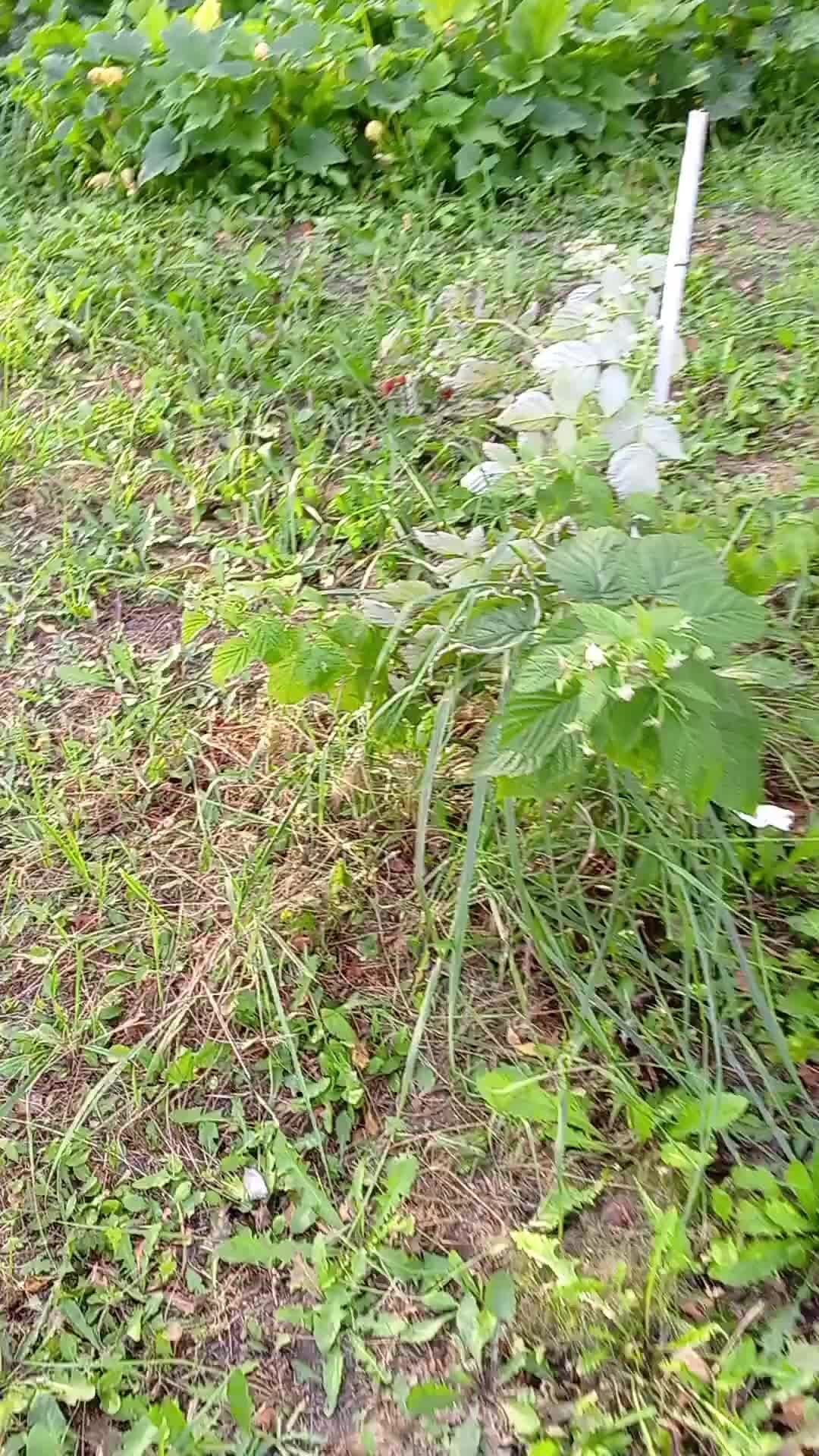Что сказать женщине приятного