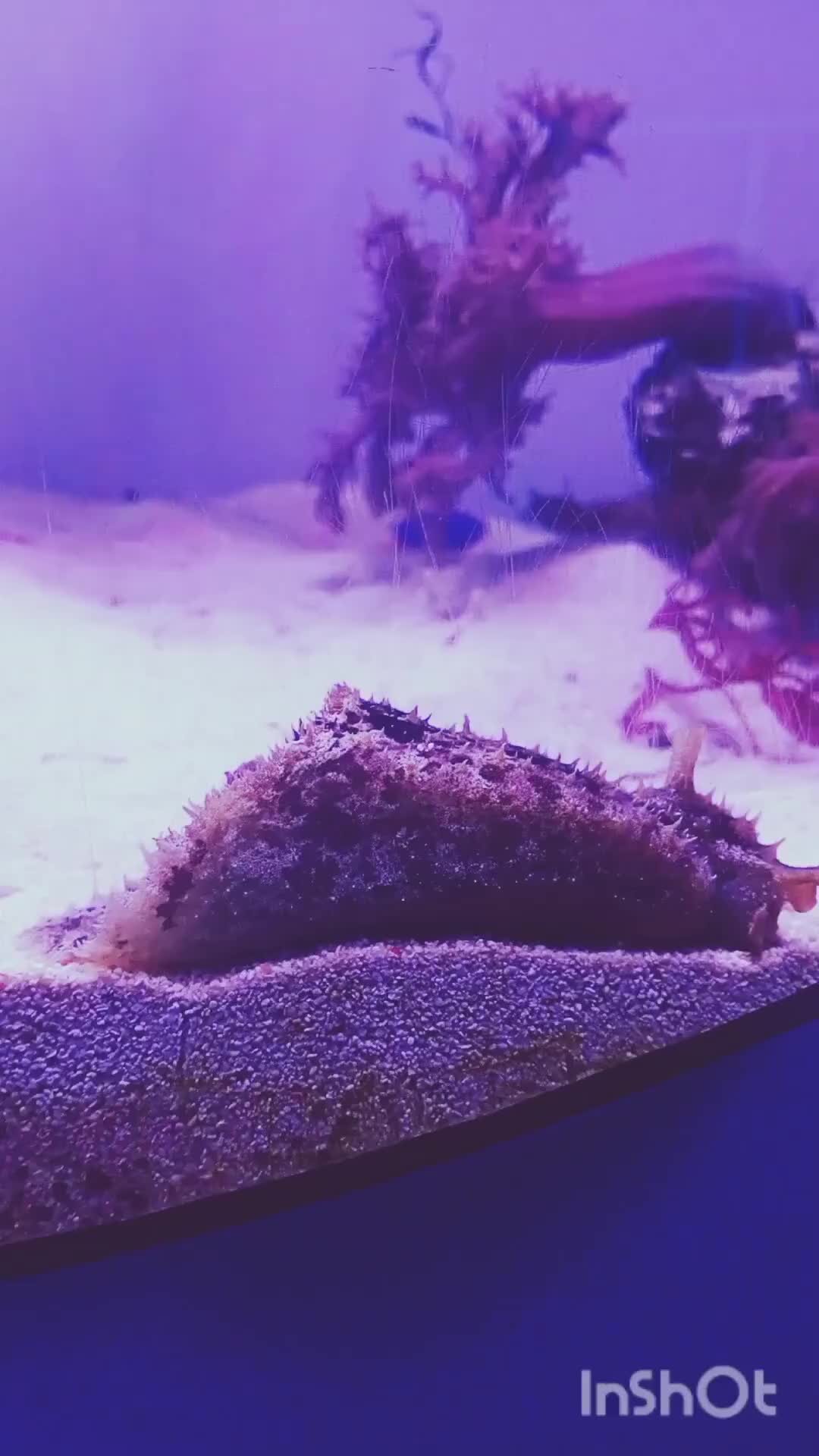 соседи картинки. разговор с соседями. соседи в квартире. девушка пришла домой. я ваш сосед за солью.