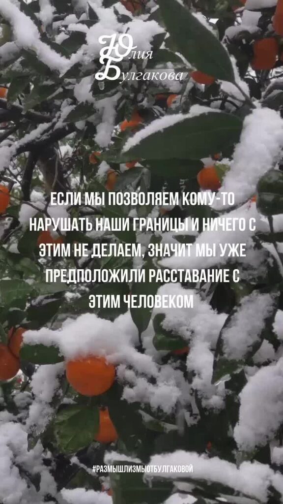 Нарушать предполагать