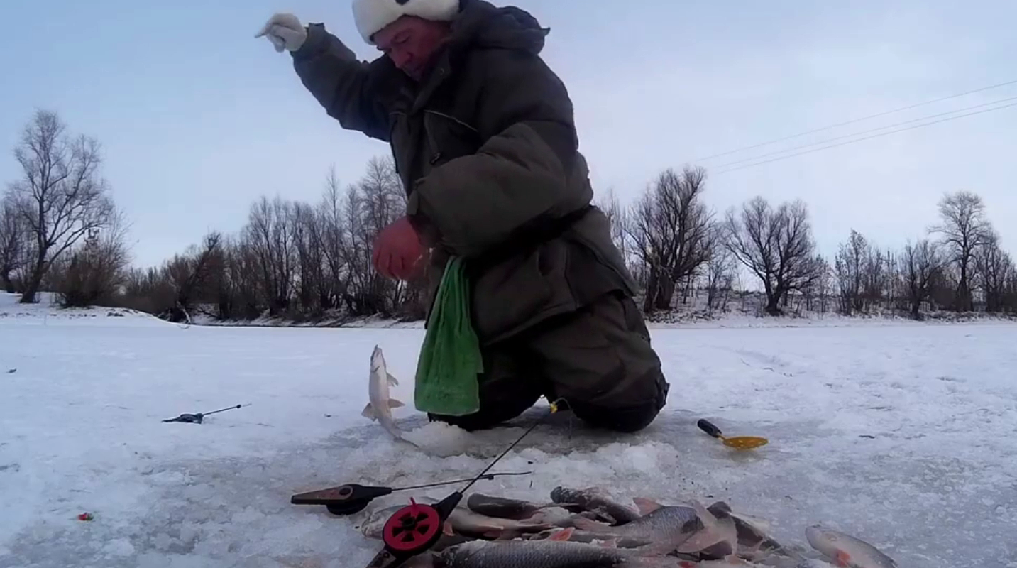 Год поедем