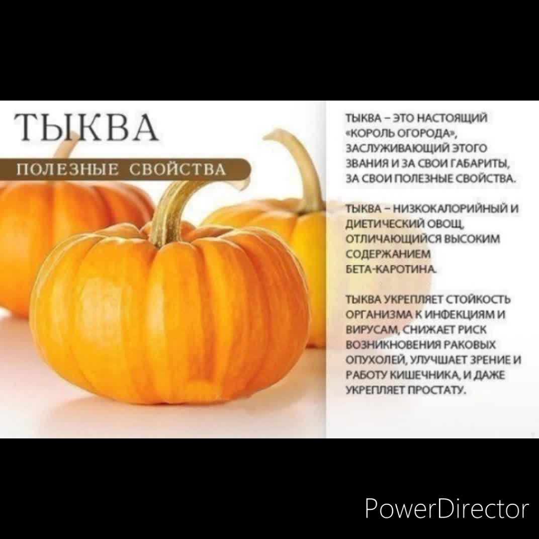 Тыква сведения