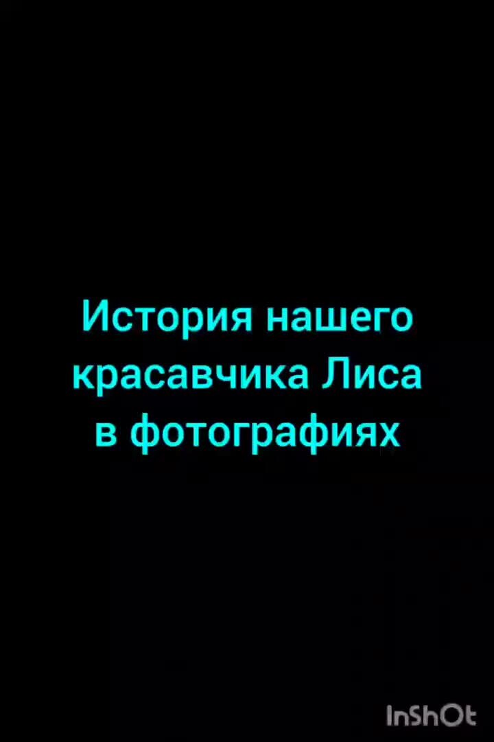 Догадываются что именно эти