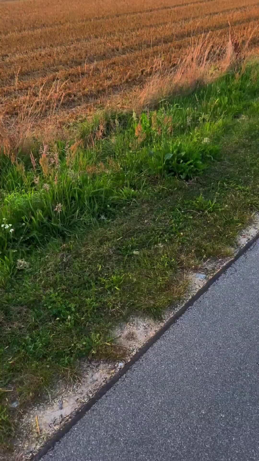 Aka Høegh Sunset ✨ ☀ 🫂 природа вайб эстетика жизнь любовь закат лет...