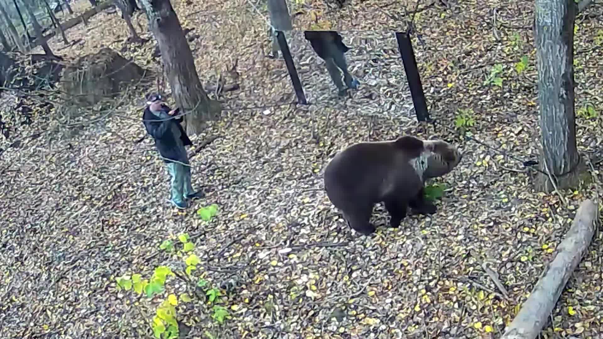 Мишка я есть хочу. Мишка я есть хочу. Люблю тебя мой мишка. Маша и медведь маша каша. Кашу кашу кашу маша и медведь.