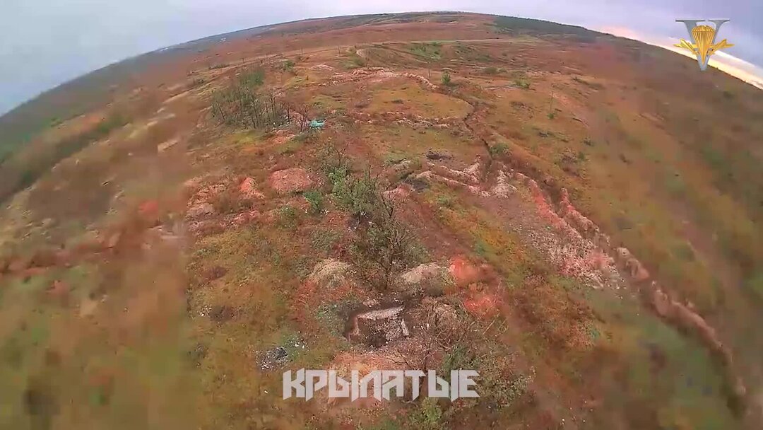 Новости сегодня последние в мире дзен