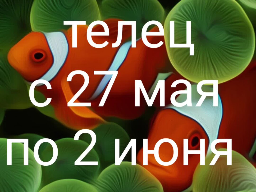 Телец 15 мая 2024