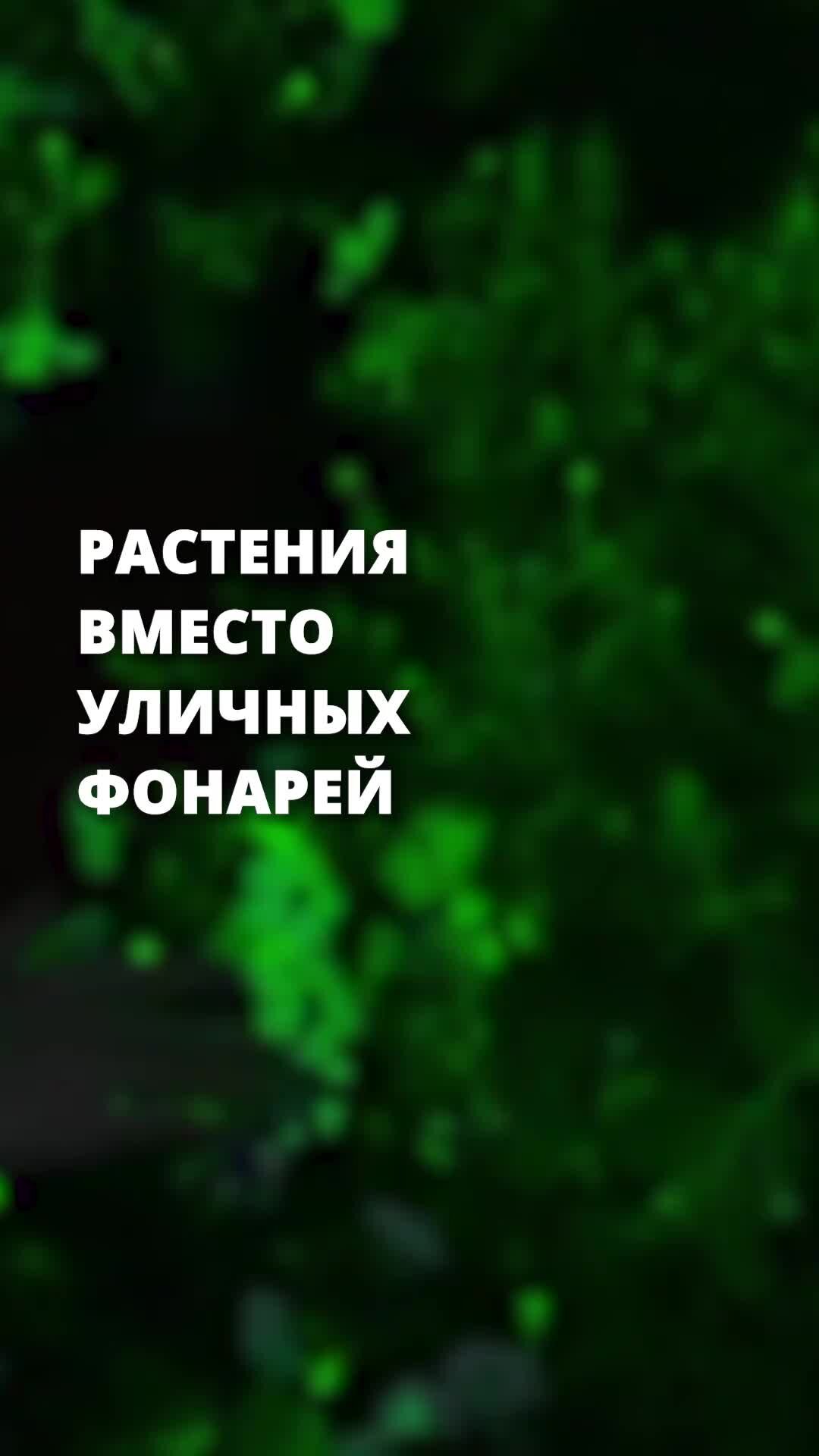 Эффекты растений