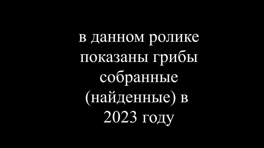 Срезание грибов. Какие грибы нельзя собирать 2023. Какие грибы нельзя собирать 2023. Какие грибы нельзя собирать 2023. Какие грибы нельзя собирать 2023.