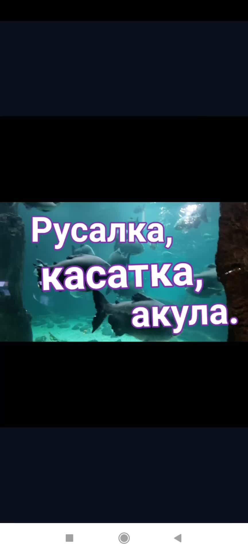 Путешествуем, играем, креативим. | Русалка, касатка и акула в  Москвариуме!!! | Дзен