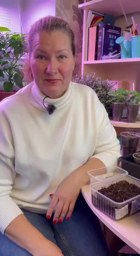 Sadovod net сделать заказ. Садовый мир жуковский. Sadovod net интернет магазин личный кабинет. Георгина red empire. Как сделать заказ фото.